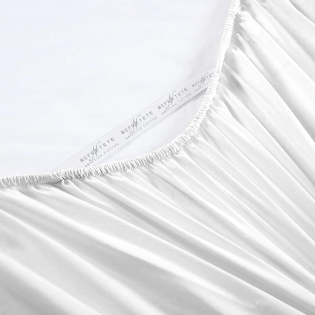 fitted 1-color 1 white (2).jpg