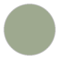 Sedona Sage